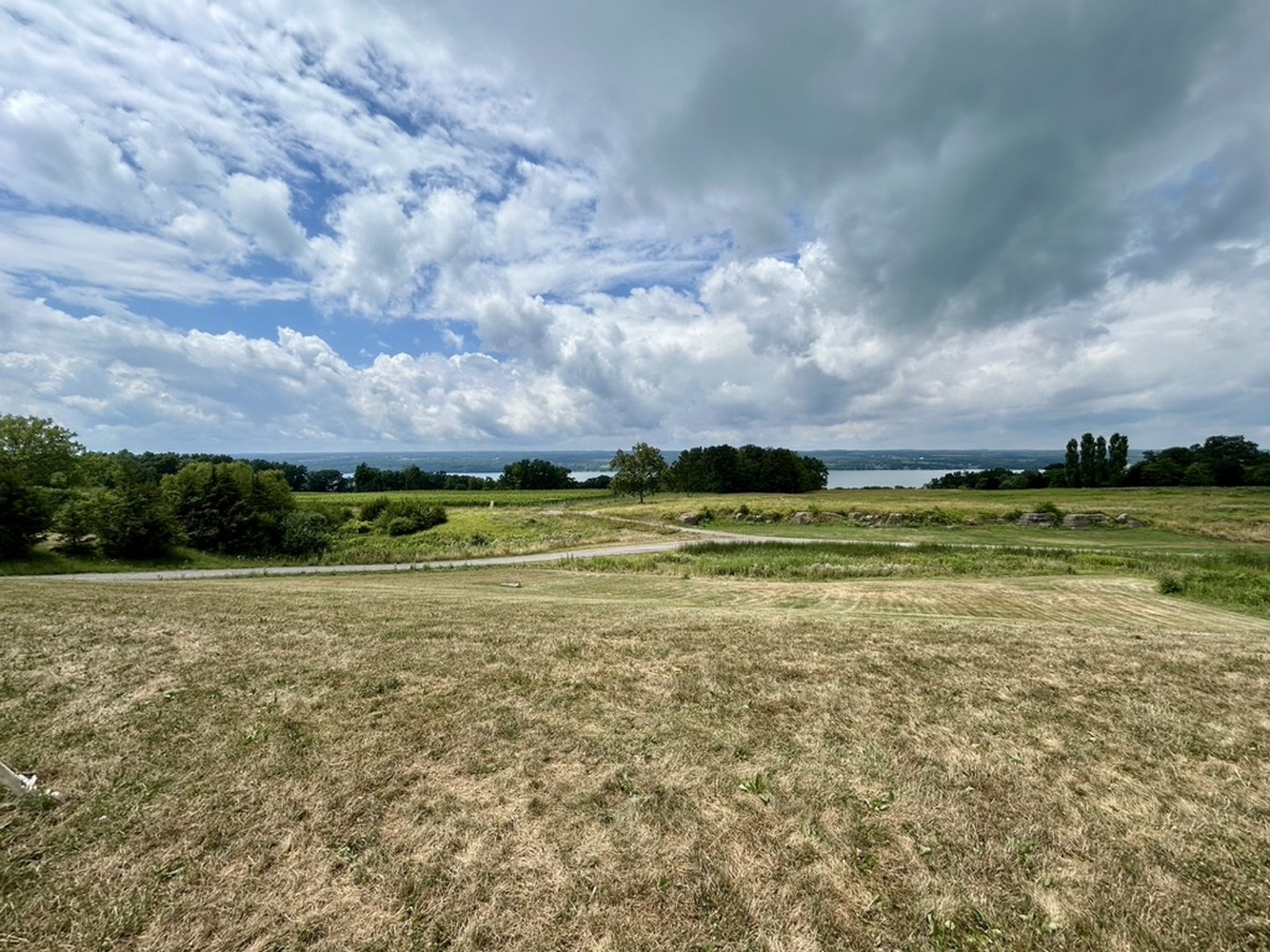 Bright Leaf Vineyard