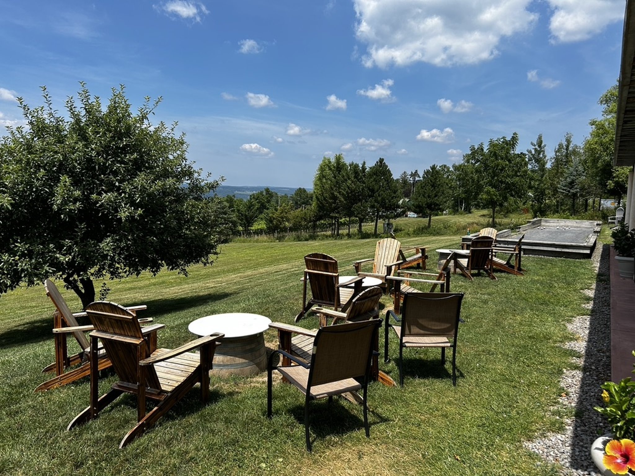 Damiani Wine Cellars