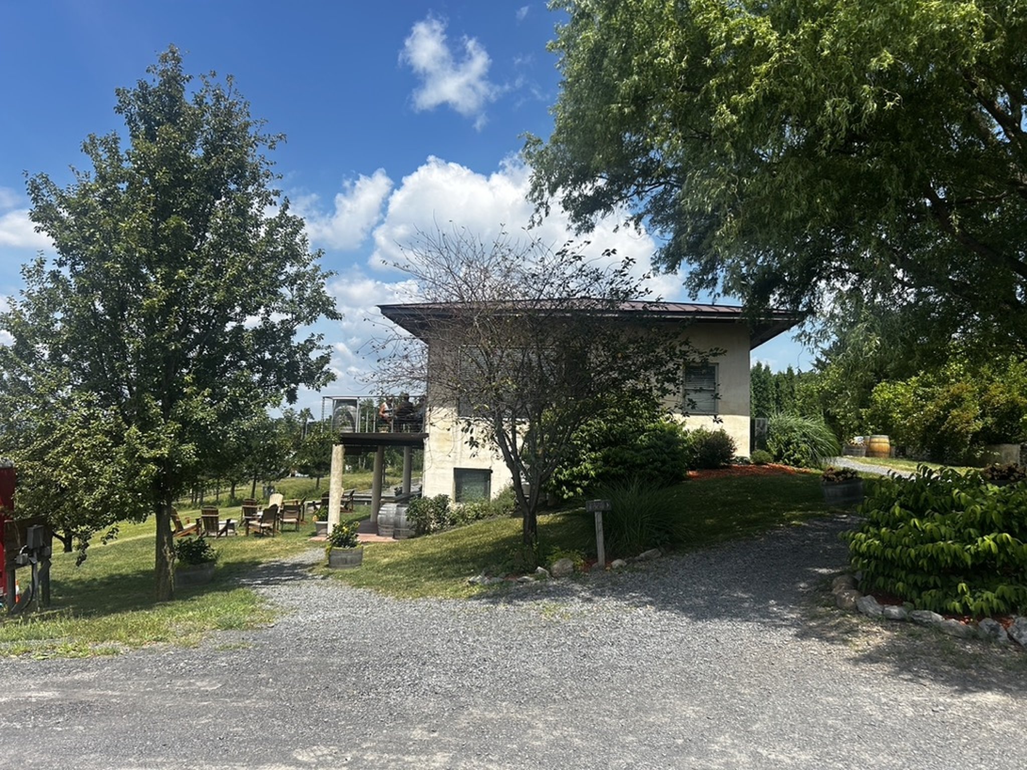 Damiani Wine Cellars