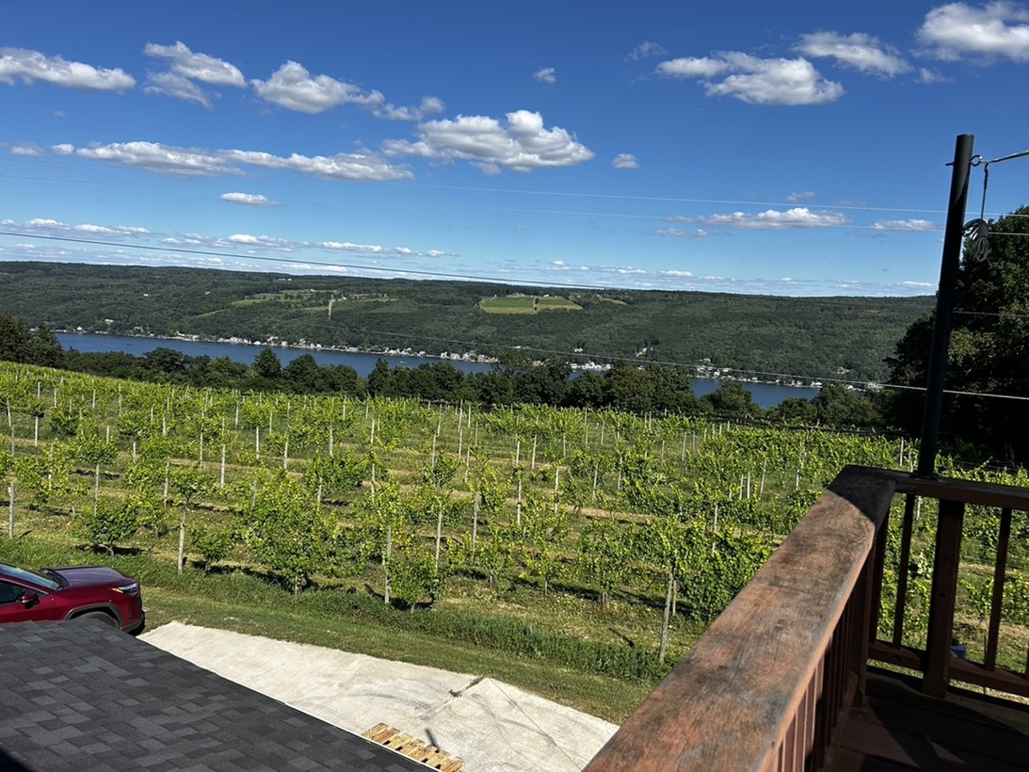 Keuka Lake Vineyards