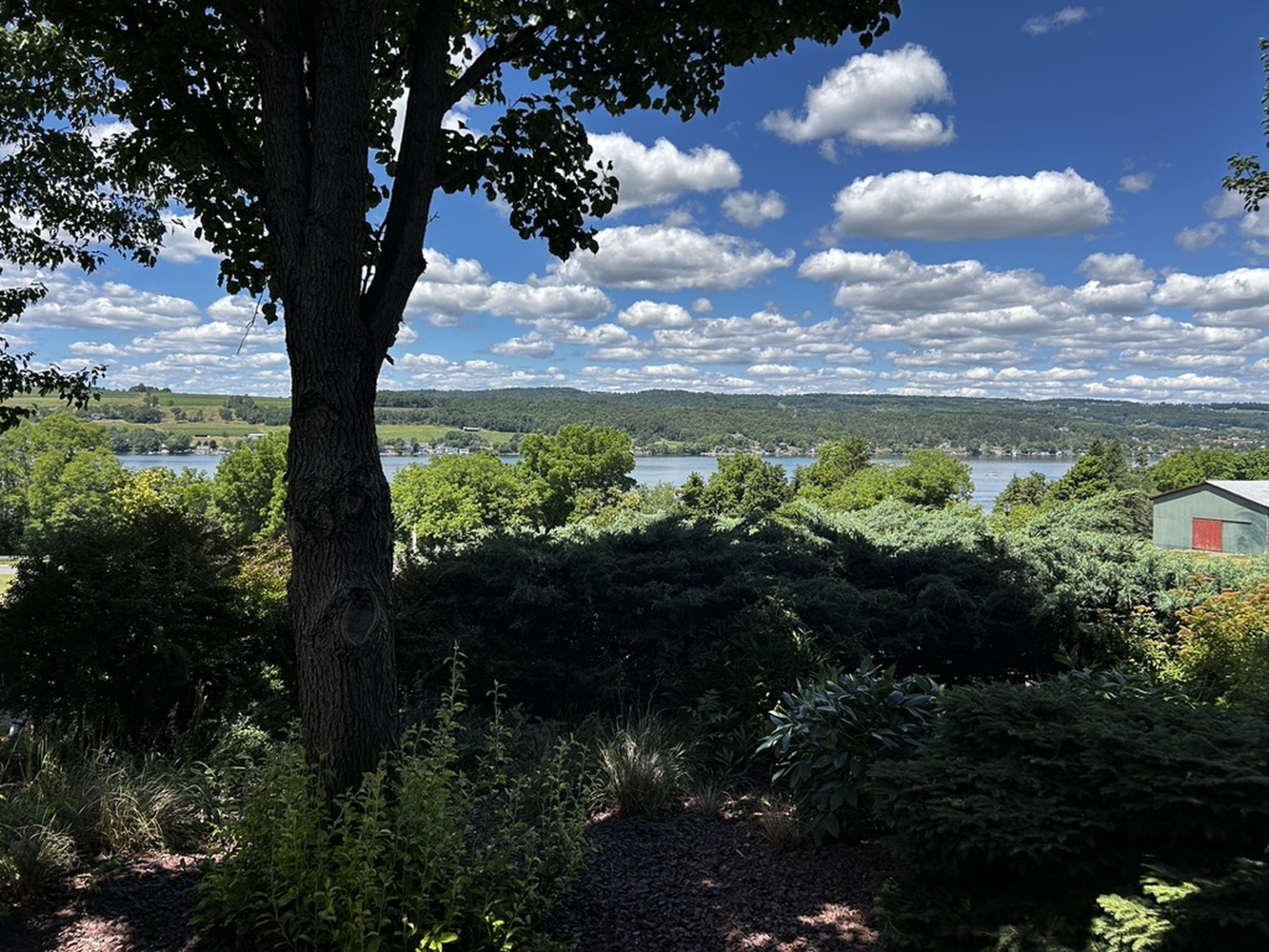 Rooster Hill Vineyards