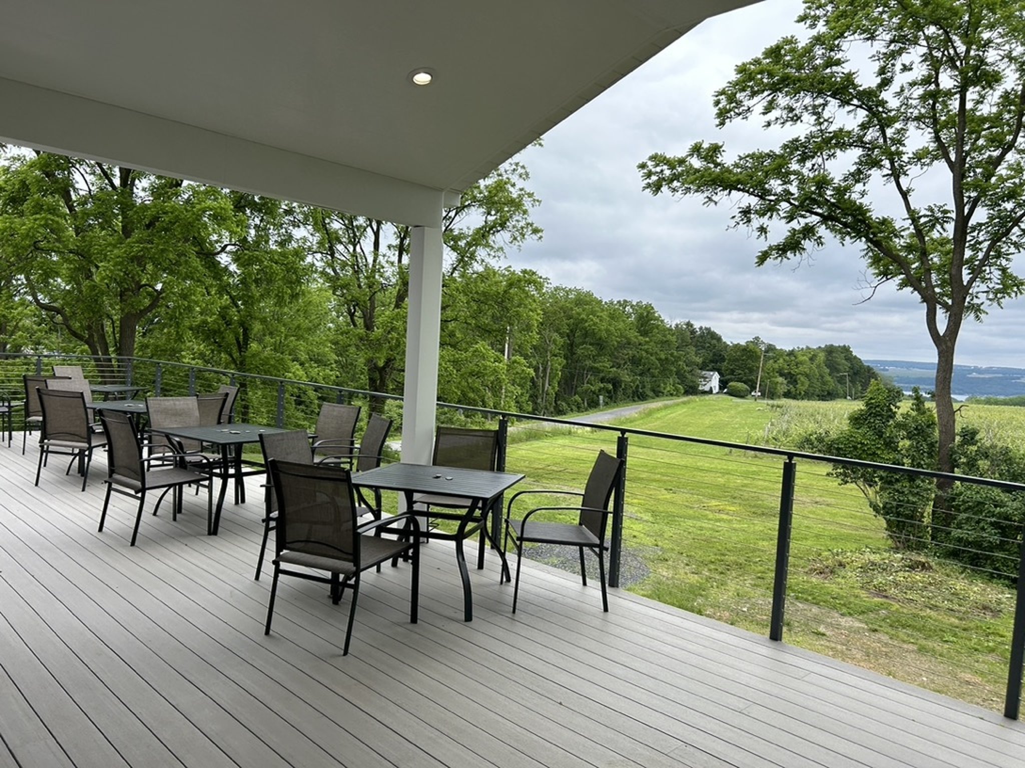 Airy Acres Vineyard