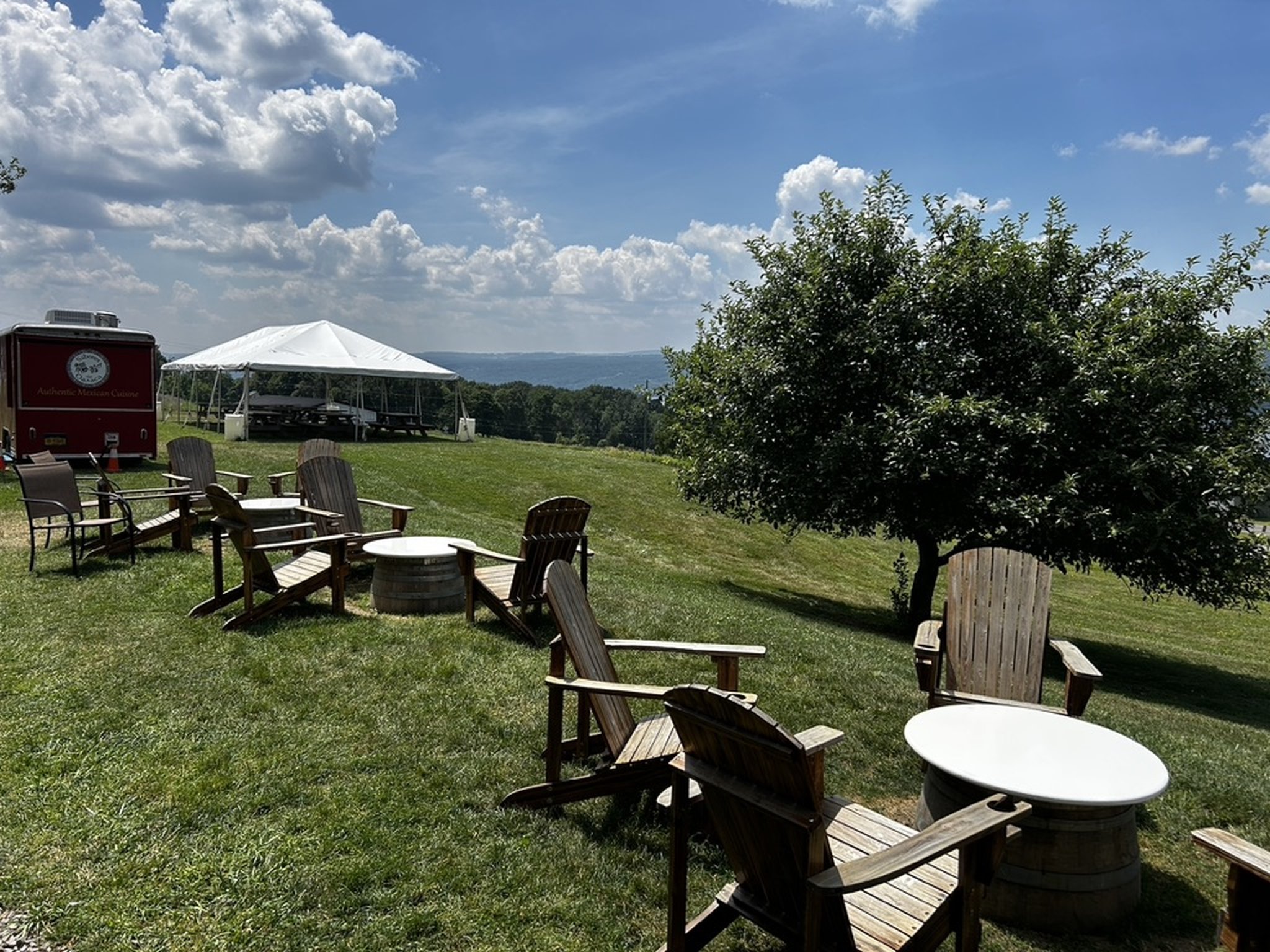 Damiani Wine Cellars