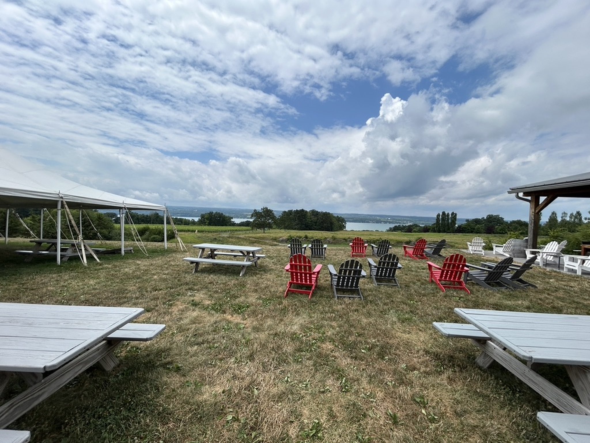 Bright Leaf Vineyard